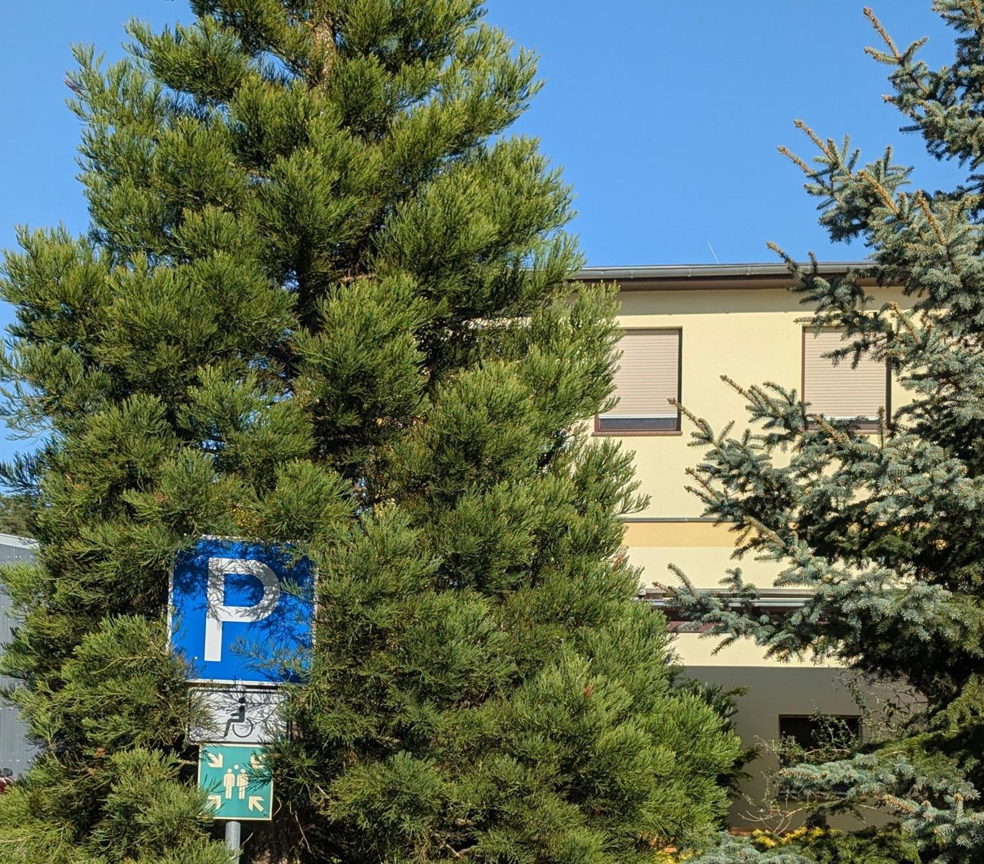 Pension Zum Reiterhof, Fewo 2 Schmogrow Buitenkant foto