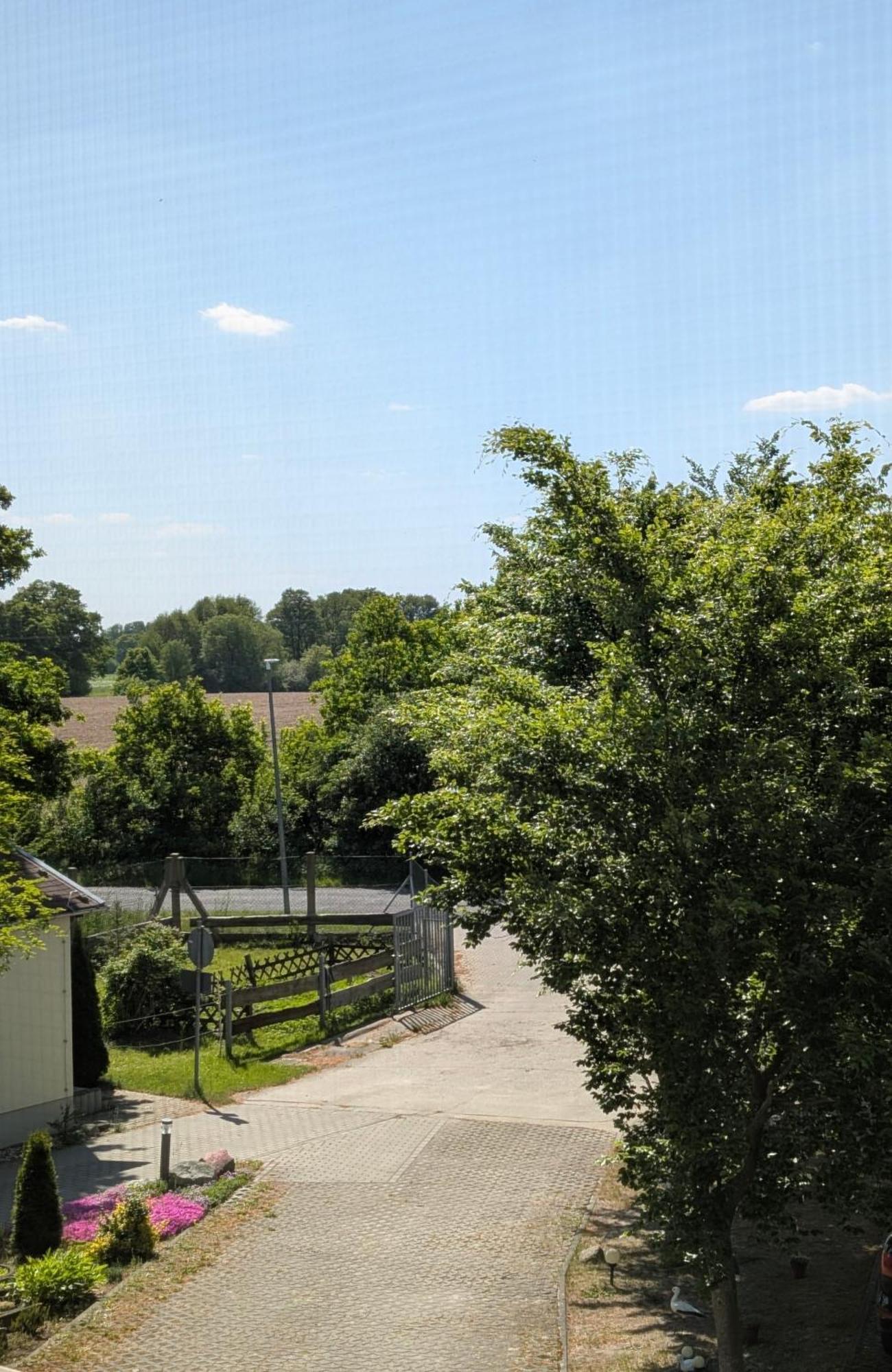Pension Zum Reiterhof, Fewo 2 Schmogrow Buitenkant foto